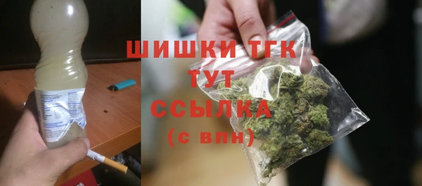соль ск Новозыбков