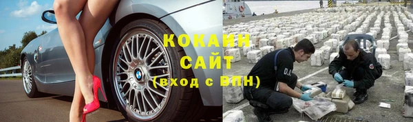 соль ск Новозыбков