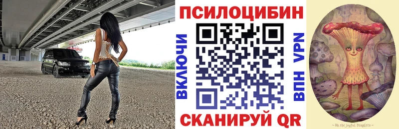 Галлюциногенные грибы Psilocybe  Киржач 