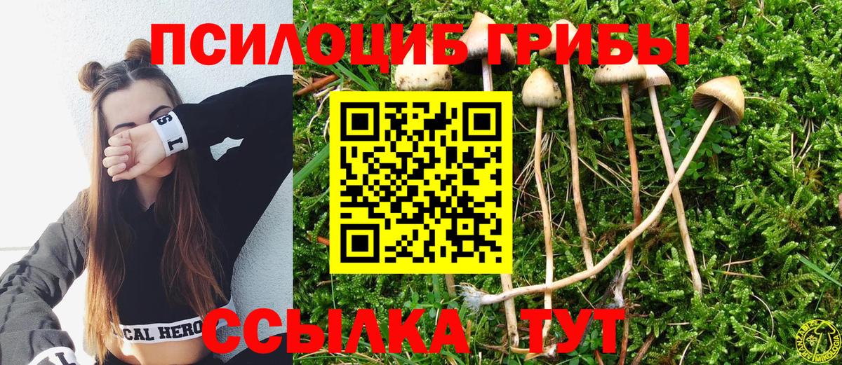 Псилоцибиновые грибы MAGIC MUSHROOMS  Вход с VPN  Киржач  Псилоцибиновые грибы MAGIC MUSHROOMS 